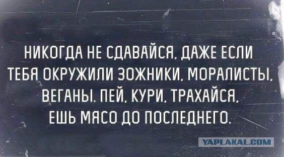 Подборка из этих интернетов