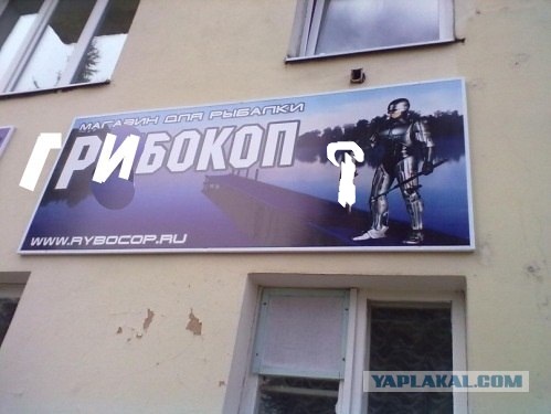 Рыбокоп - это инспектор рыбнадзора?