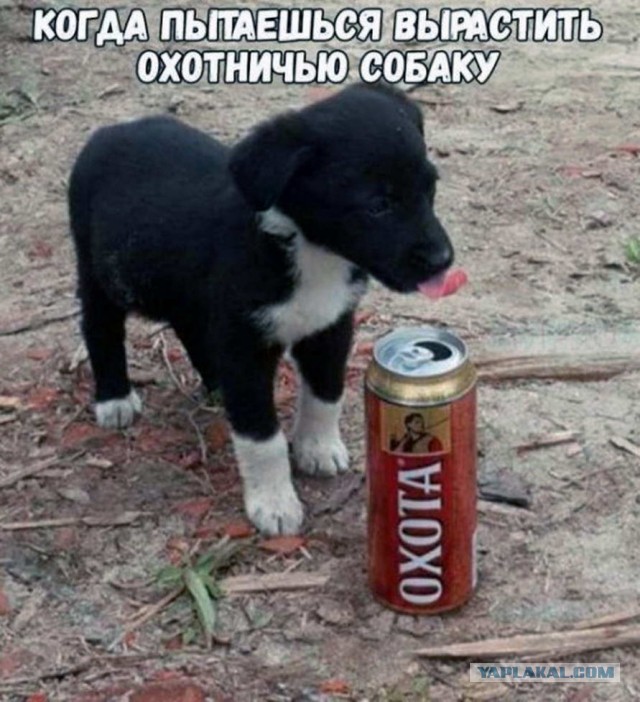 Этот взгляд