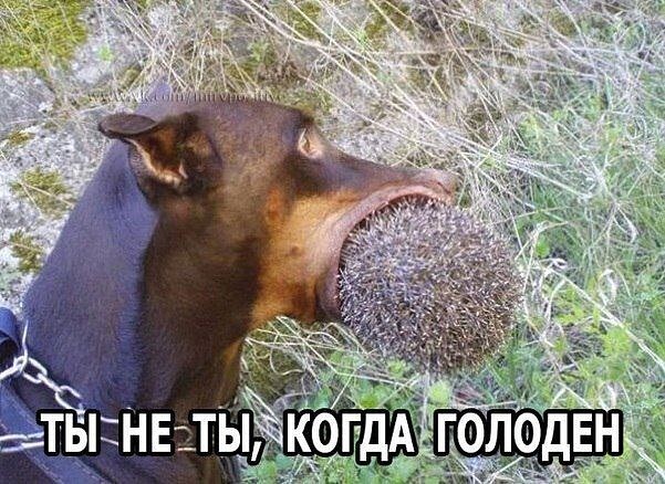 Картинки всякие