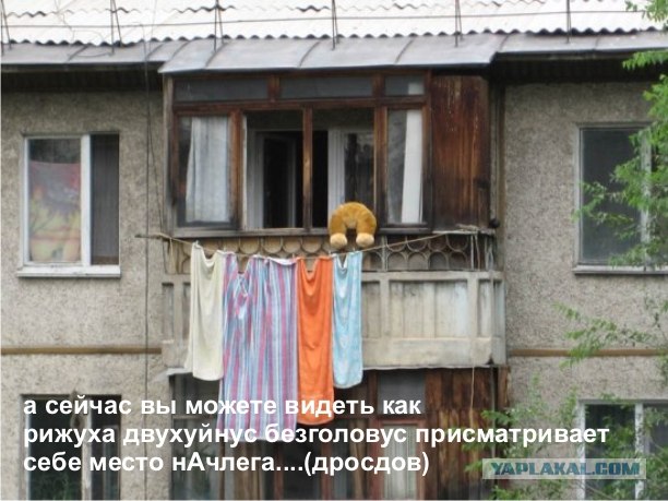 Конкурс: подпись к картинке