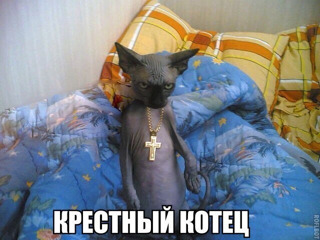 Так себе картинки 10.06.20