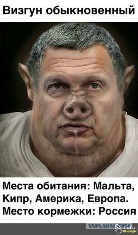 Бредзона 07.07.2020
