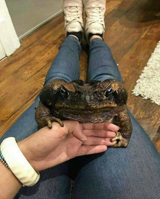 Интервью девушек