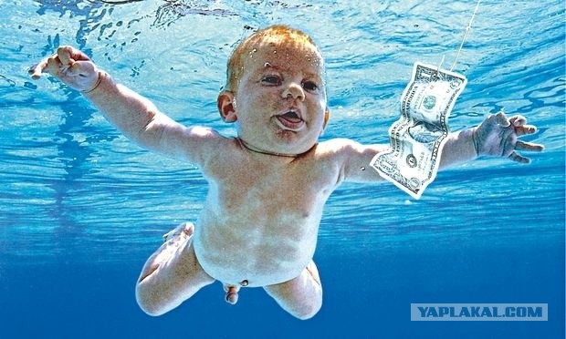 Премия комедийной фотографии дикой природы-2020 объявила призёров. Победил снимок черепахи, показывающей «средний палец»