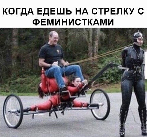 Фотки и картинки: юморные и красивые, забавные и милые 30.10.20