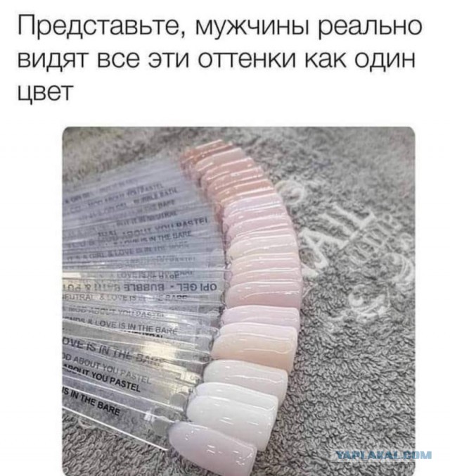 Бредзона 28.01.2021