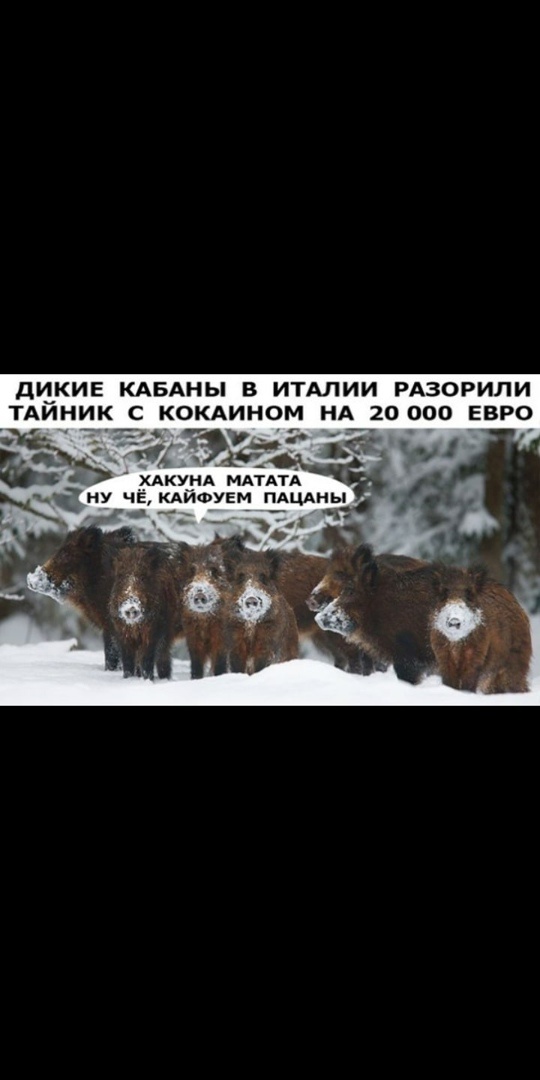 Так себе картинки 16.02.21