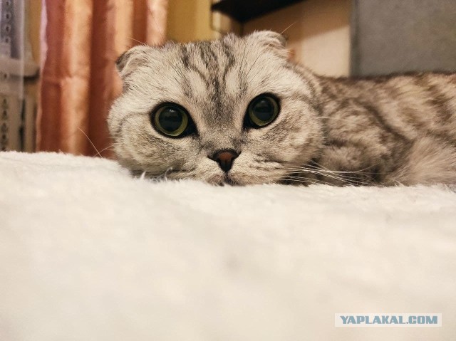 Для тех кто не может без пшикалок для носа