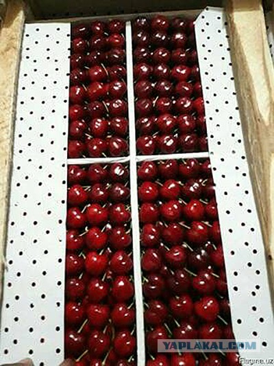 Кулинарная общалка