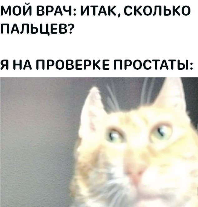 Весёлый полтишок 12.07