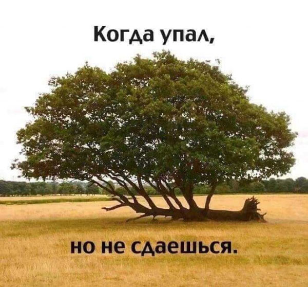 Так себе картинки 18.07.21