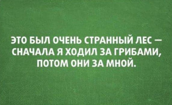 Так себе картинки 13.08.21