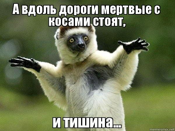 Картинки и мемы для настроения 003