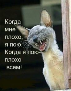 Баянисто-небаянистый юмор 11.01.22