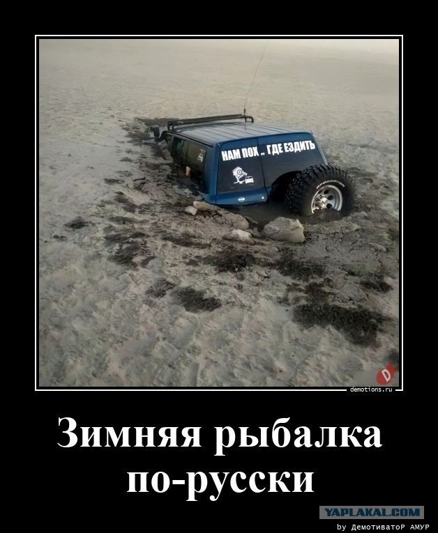 Чудики из социальных сетей 12.02.22