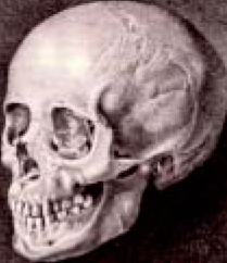 В Грузии россиянам начали отказывать в аренде квартир и выдаче денег в банках из-за ситуации на Украине