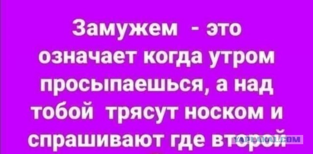 Забавные и веселые картинки