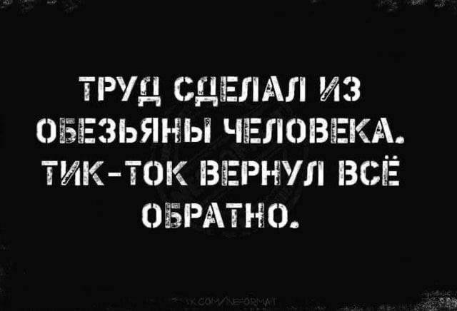 Аденовирус шимпанзе
