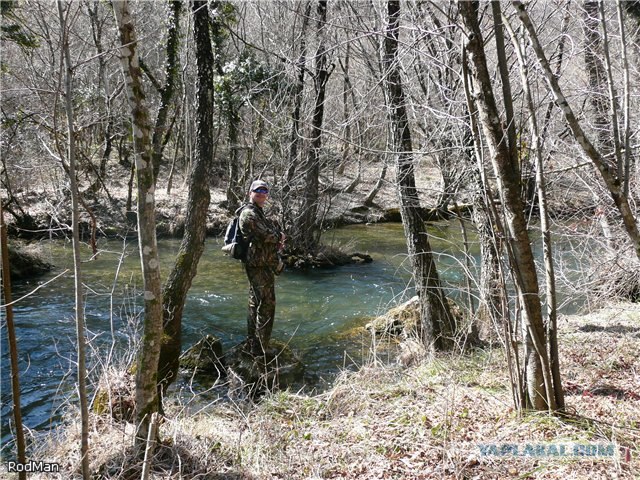 Форель, горный Крым.