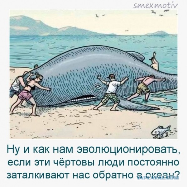 Пьяной бабе - море по колено