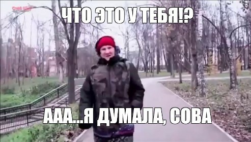 Пилил сегодня дрова