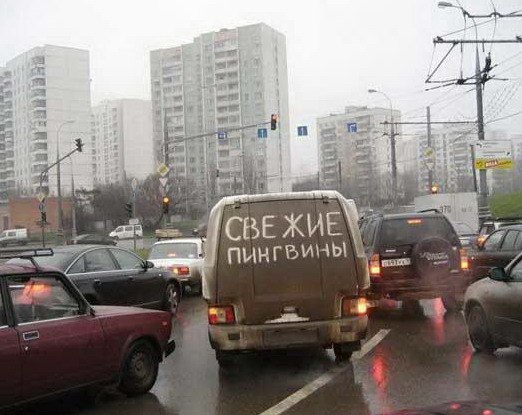 Автонадписей пост