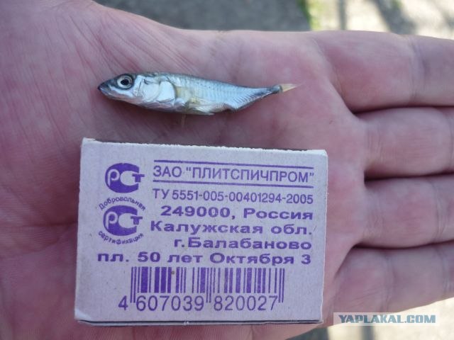 Рыбалки пост, СШ ГЭС
