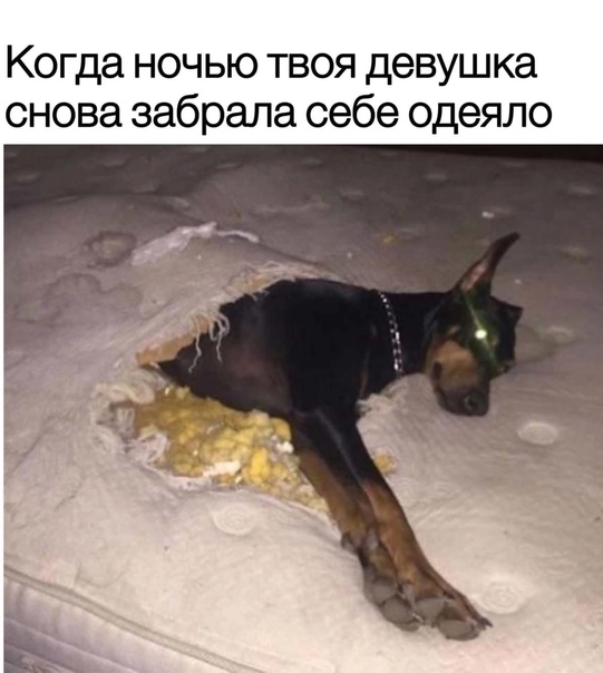Что тебе нравится в девушках?