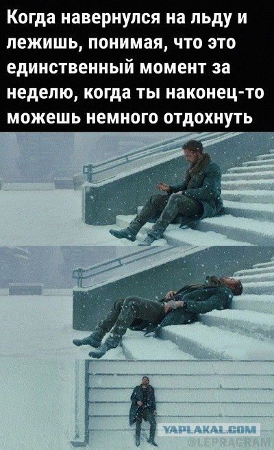 Как вернуть девушку, которая зафрендзонила тебя после нескольких месяцев флирта на сайте знакомств?
