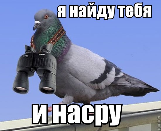 И правда страшное зрелище