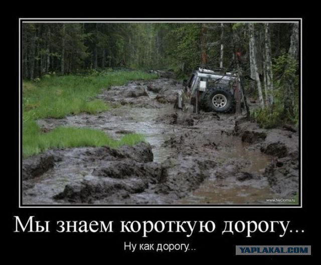 Перекрёсток дураков