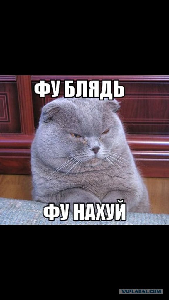 «Стройняшка» против одного из самых тяжелых мотоциклов