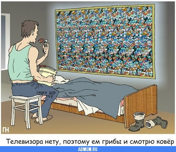 Как не огрести от грибов