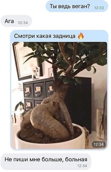Третьяковская галерея купила «Ветку» Андрея Монастырского. Искусствоведы - вы ибанулись?