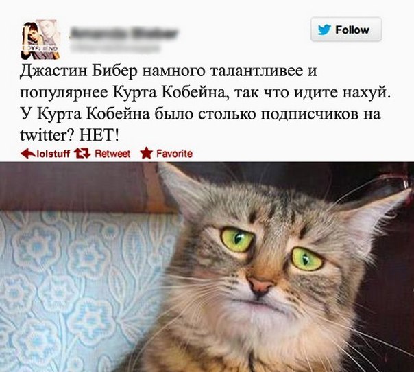 О музыкальных вкусах