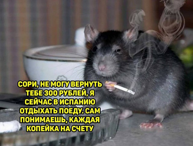 Завалялось тут случайно немного забавных картинок