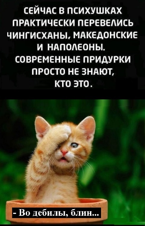 Картинки разные с надписями и без