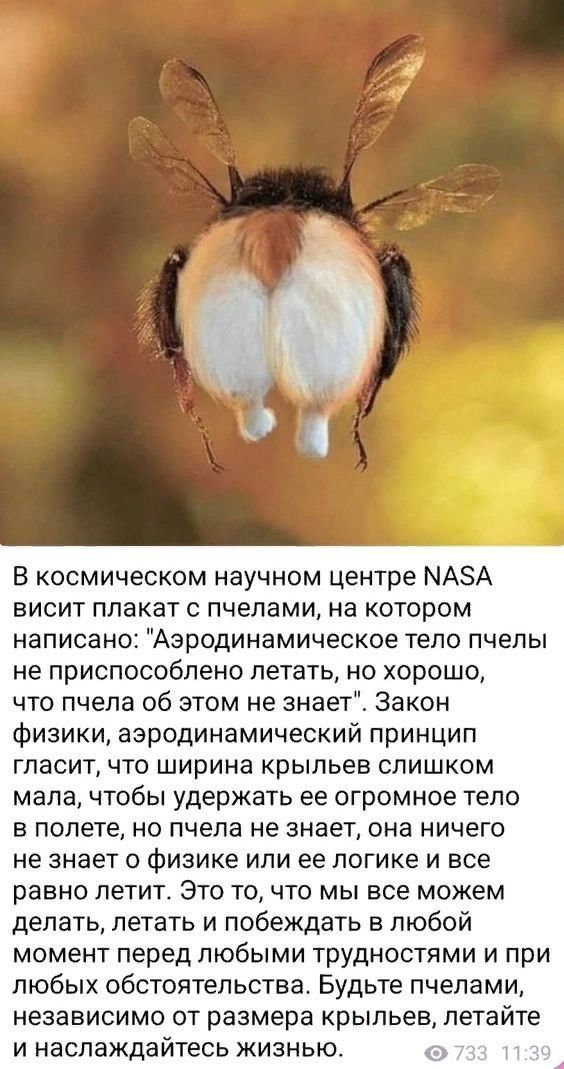 Прикольные и просто красивые картинки 21.03.2025
