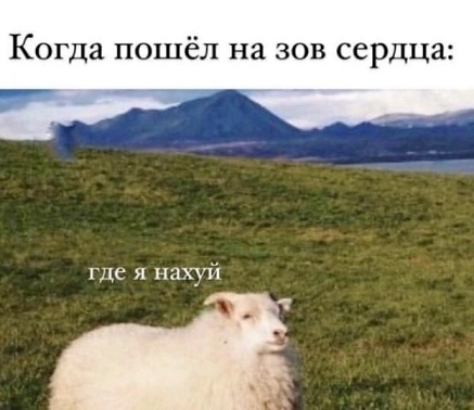 Хорошо, когда отдохнул на природе