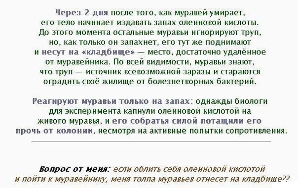Ну что господа Деграданты, отправляемся в 2008-2011 год.