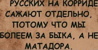 Бык убил молодого тореадора во время его первого выступления.