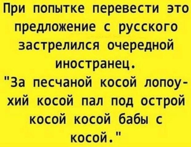 Муха сидит или стоит?