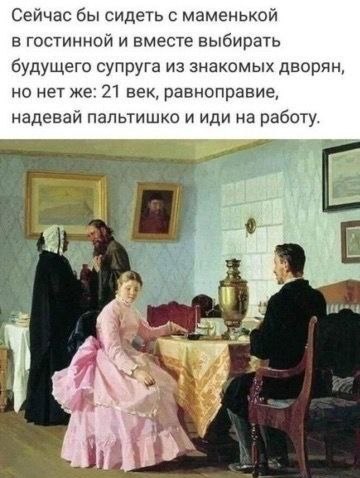 Мой кот