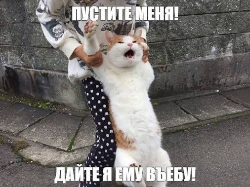 Ещё одна россиянка пропала в Таиланде. Родные думают, что её могут держать в рабстве в Мьянме