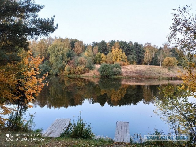 Народ активно "избавляется" от дач?