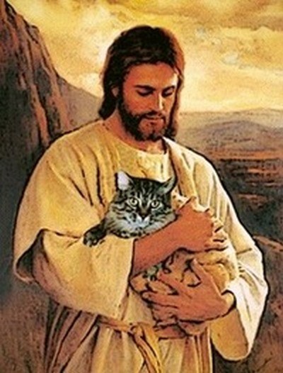 Возлюби кота ближнего своего