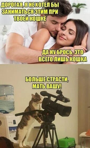 Выгнали, как сказали, за ненадобностью!
