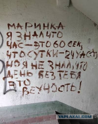 Почему в СССР стены в подъездах красили наполовину в зеленый или синий цвет?