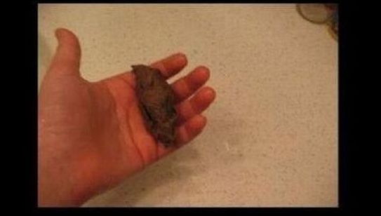 Сортирная шутка